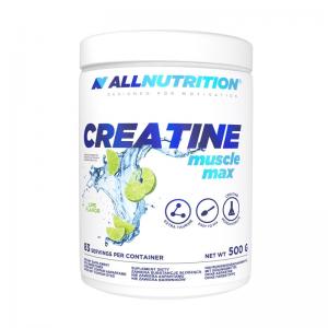 All Nutrition Creatine Muscle Max 500 g