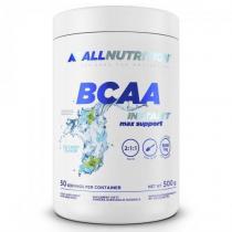 BCAA 2-1-1 Instant 500g (+Glutamine), AllNutrition